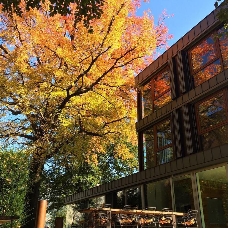 Casa Sull'Albero Hotel Malgrate Exterior photo