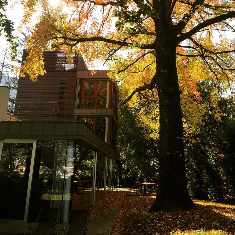 Casa Sull'Albero Hotel Malgrate Exterior photo