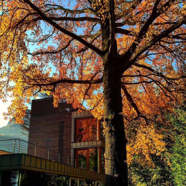 Casa Sull'Albero Hotel Malgrate Exterior photo
