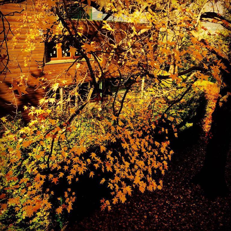 Casa Sull'Albero Hotel Malgrate Exterior photo